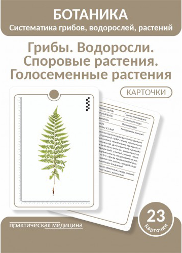 Грибы. Водоросли. Споровые растения. Голосеменные растения. КАРТОЧКИ (23 шт).