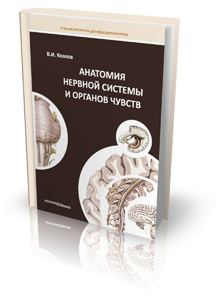 Анатомия нервной системы и органов чувств. Учебное пособие