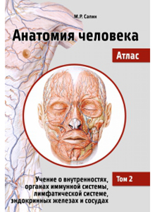 Анатомия человека. Атлас. В III томах. Том II. Учение о внутренностях, органах имунной системы, лимфатической системе, эндокринных железах и сосудах. 2-е издание, переработанное