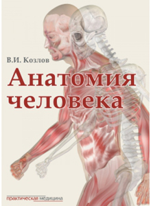 Анатомия человека. Учебник для медицинских вузов. ГРИФ Координационного совета Сеченовского университета