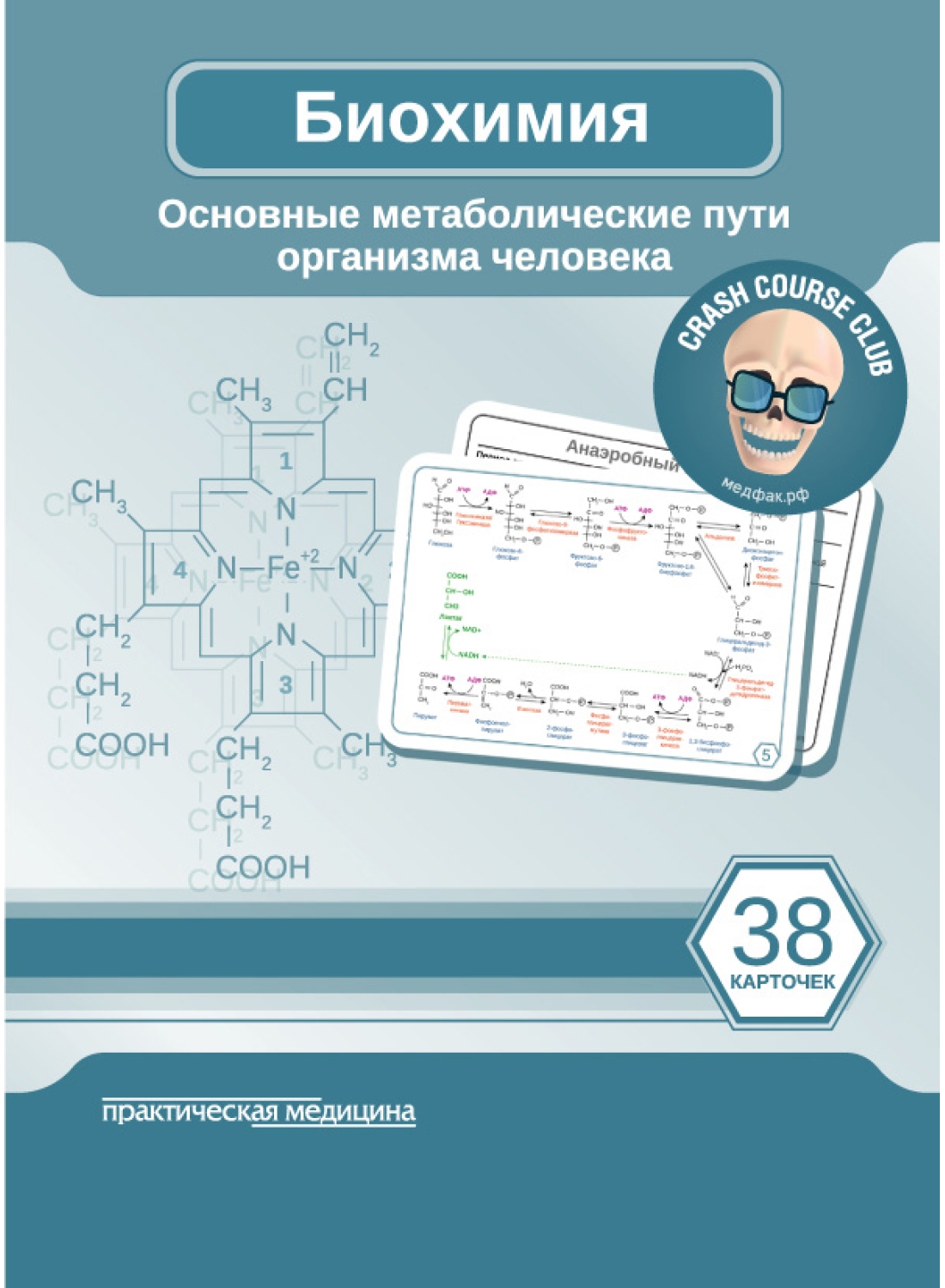 Биохимия. КАРТОЧКИ. Основные метаболические пути организма человека